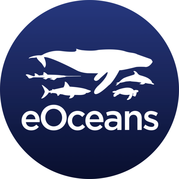 Go to the profile of Christine Ward-Paige