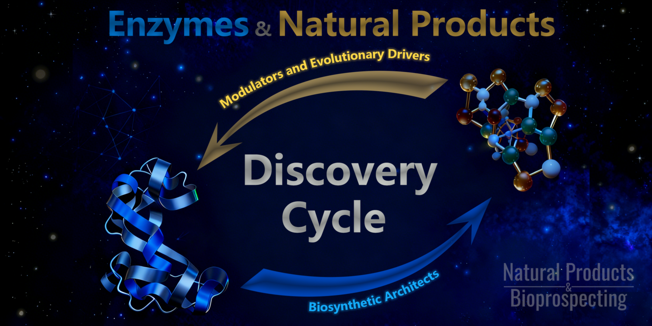 Enzymes and Natural Products – The Interactive Cycle from Biosynthesis to Precision Discovery