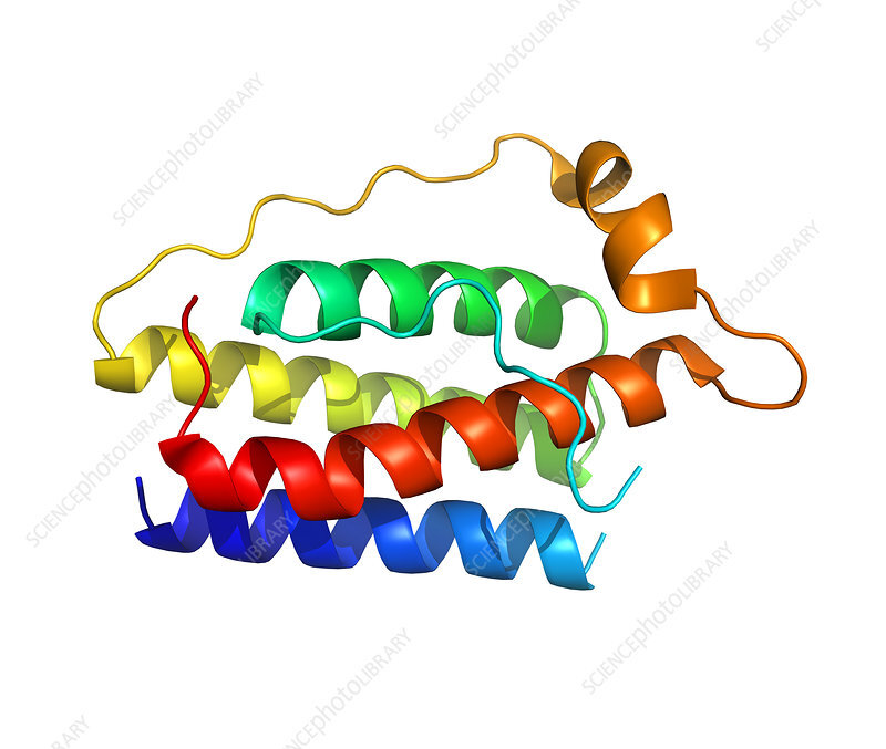 Salivary and serum leptin levels in oral lichen planus patients. A case control study