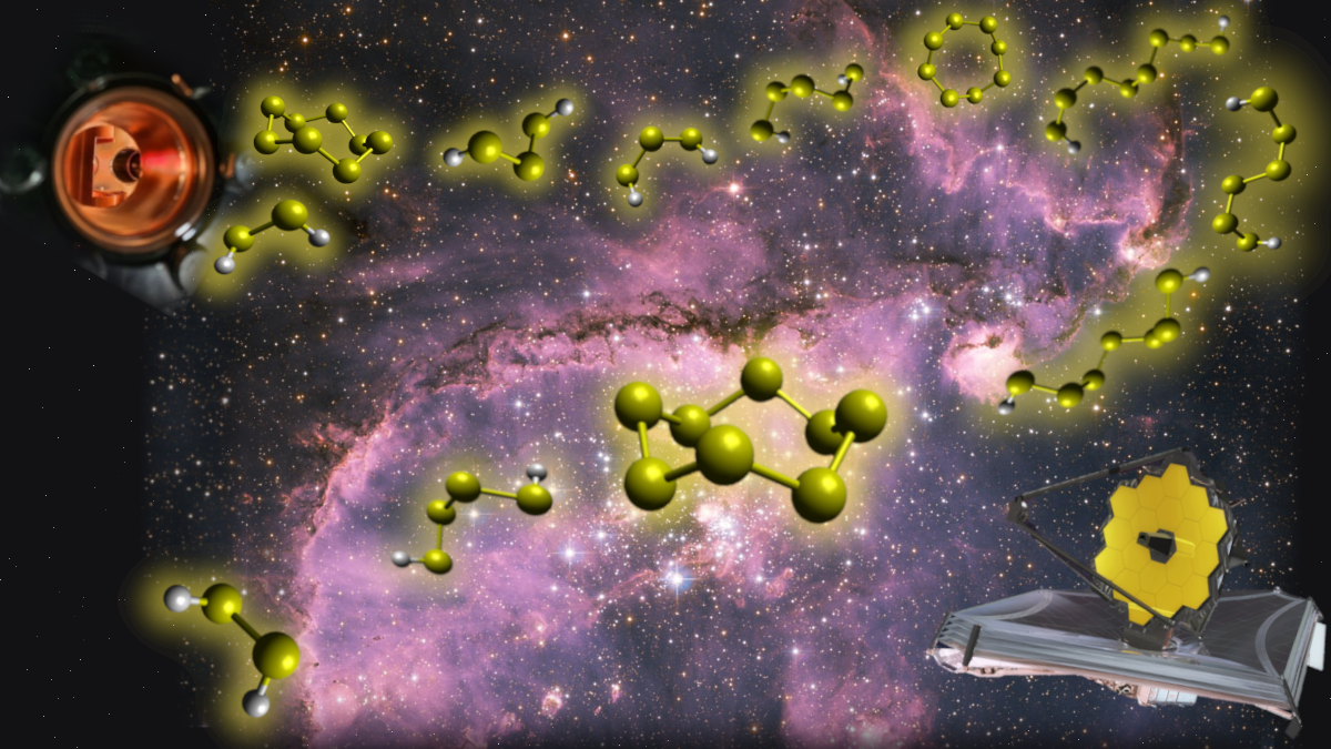 Missing Interstellar Sulfur in Inventories of Polysulfanes and Molecular Octasulfur Crowns