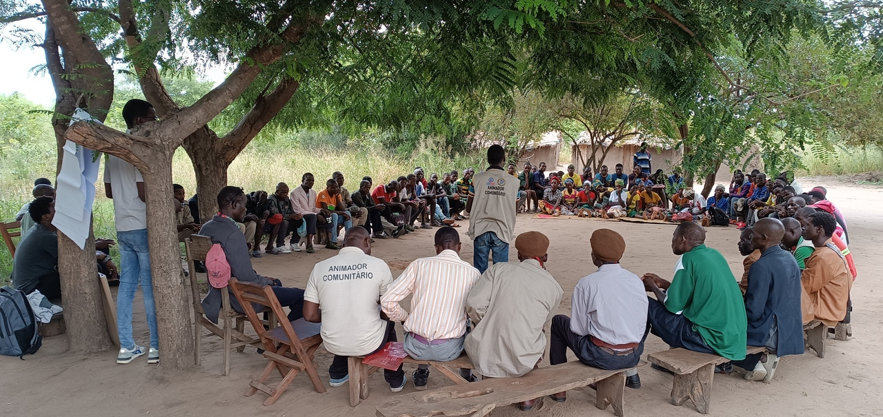 Hi, I'm Richad Vidamão