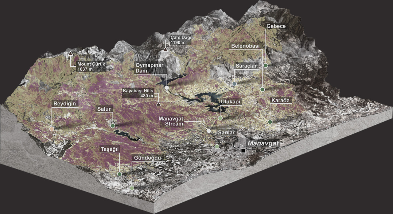 Mediterranean forests under pressure from mega-fires on the climate-human nexus