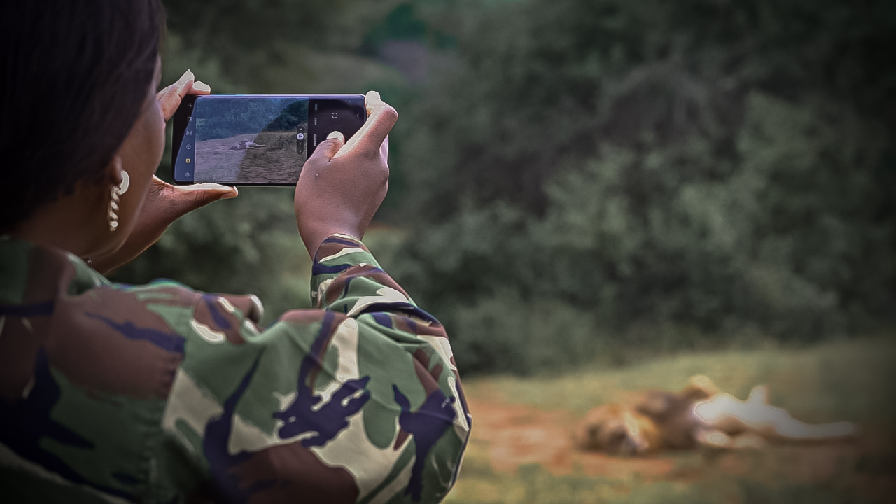 Volunteer Google Ads Specialist Wanted!