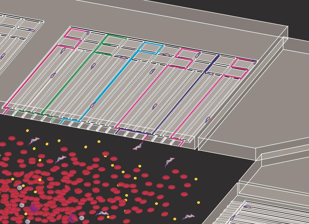 Diagnosing sepsis from a drop of blood