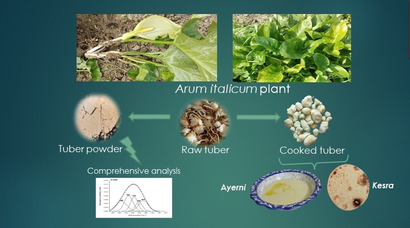 From a mother's hands to a deep understanding—preserving Algerian culinary heritage