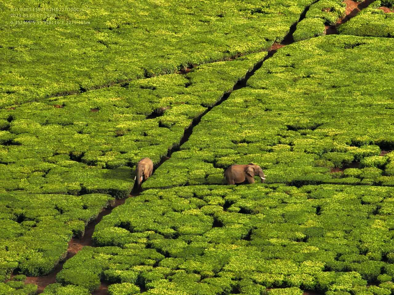 Hello! My name is Adele 