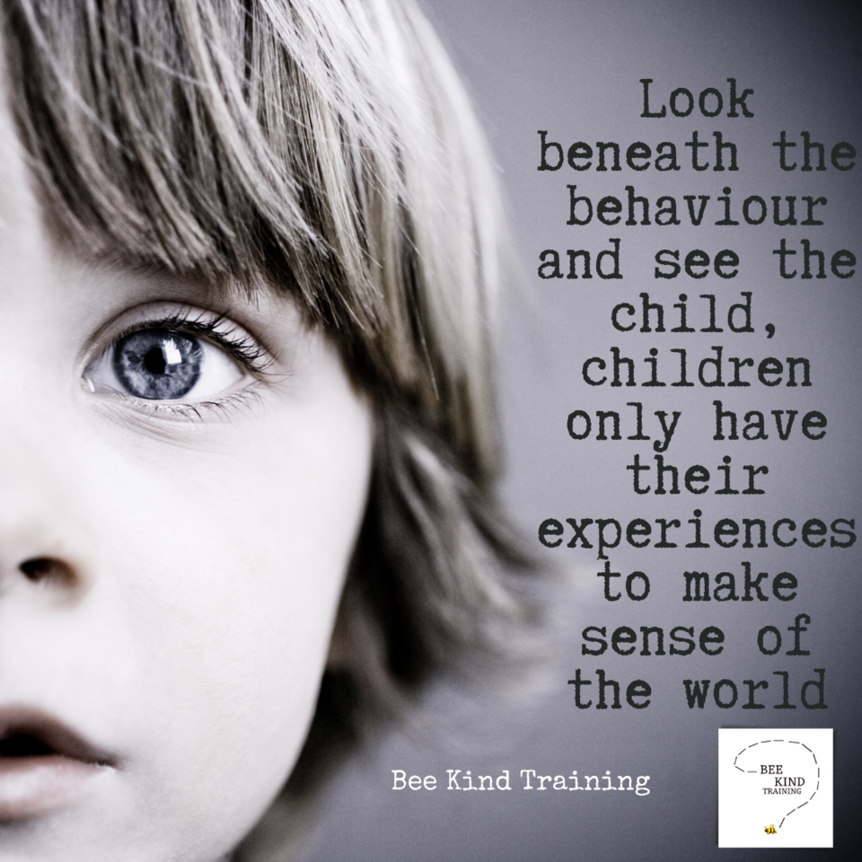 Why does Trauma Informed Practice matter?