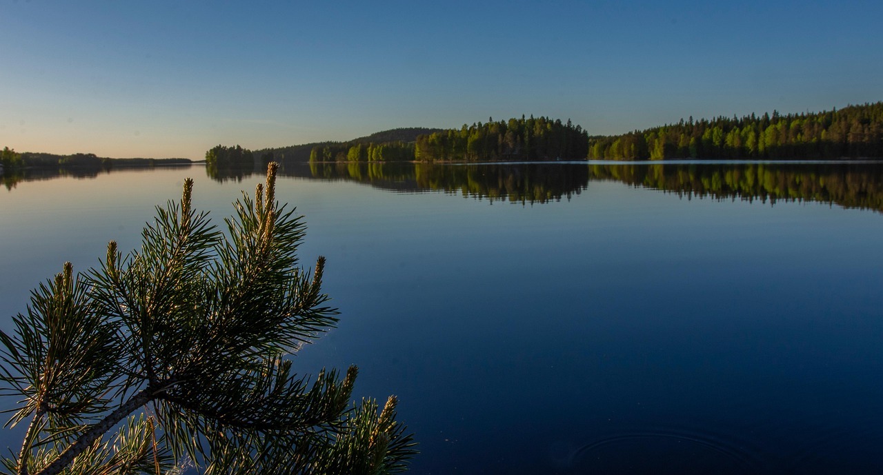 Retina in a dish: Methods & applications in life sciences