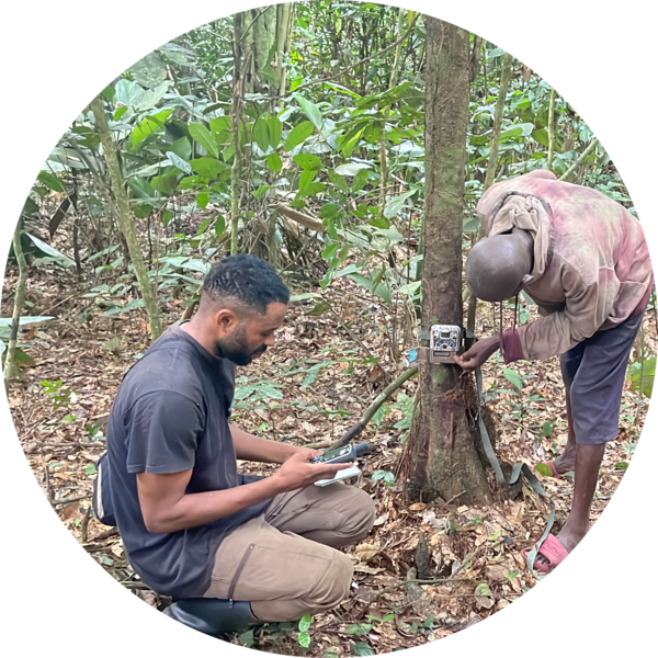 Go to the profile of Dalley-Divin SAA-SITA