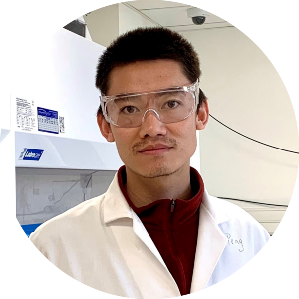 Go to the profile of Peng Li