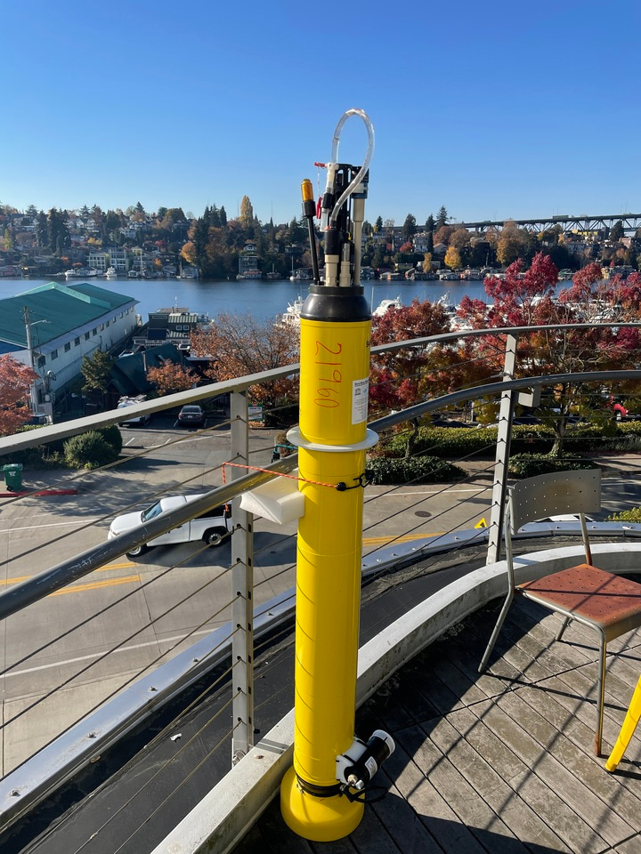 When the Ocean Gets a Fever: Marine Heatwaves Reshape Food Webs and Carbon Flow