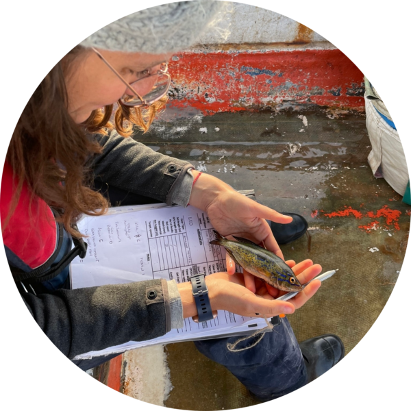 Go to the profile of Flavia Scocca