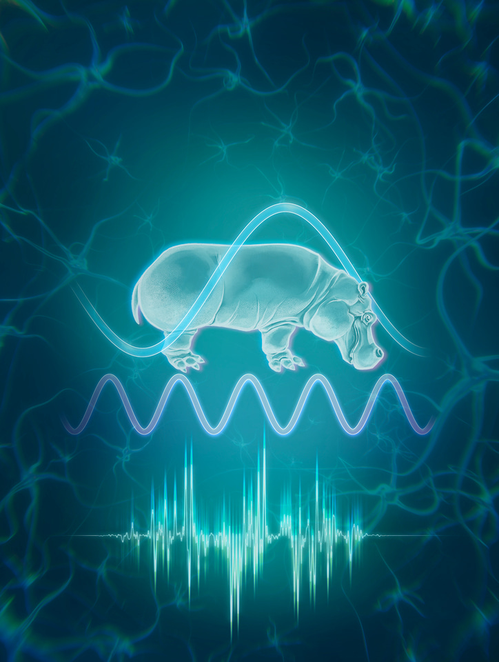 The story behind our study on rhythm-based speech processing