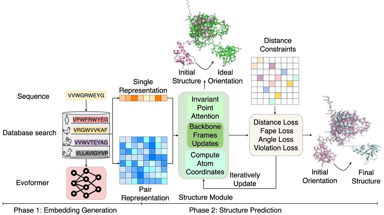 Distance-AF improves predicted protein structure models by AlphaFold2 with user-specified distance constraints