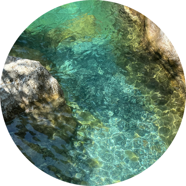 Go to the profile of mary