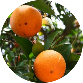 Go to the profile of David Jose Florez Rodriguez