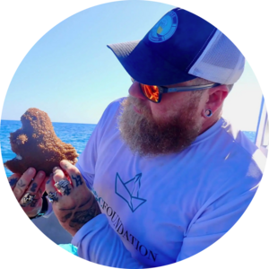 Go to the profile of Owen O'Shea