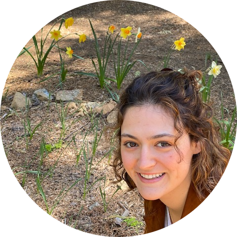 Go to the profile of Arianna Weingarten