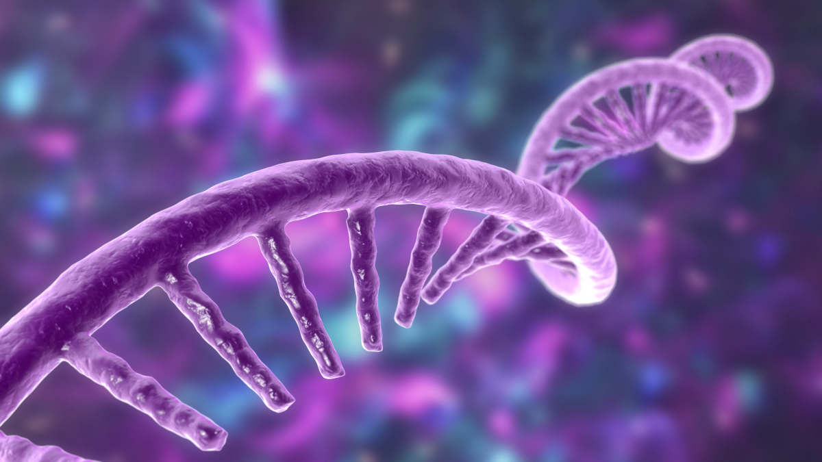 Call for papers: RNA biology in plant biotic interactions