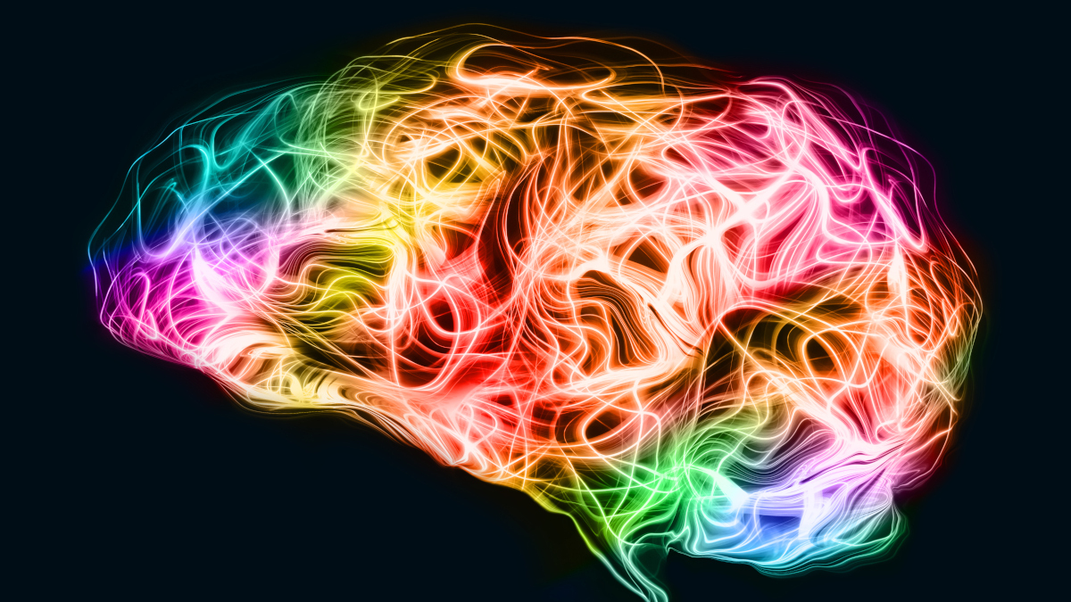 Call for papers: Cortical-subcortical brain loops