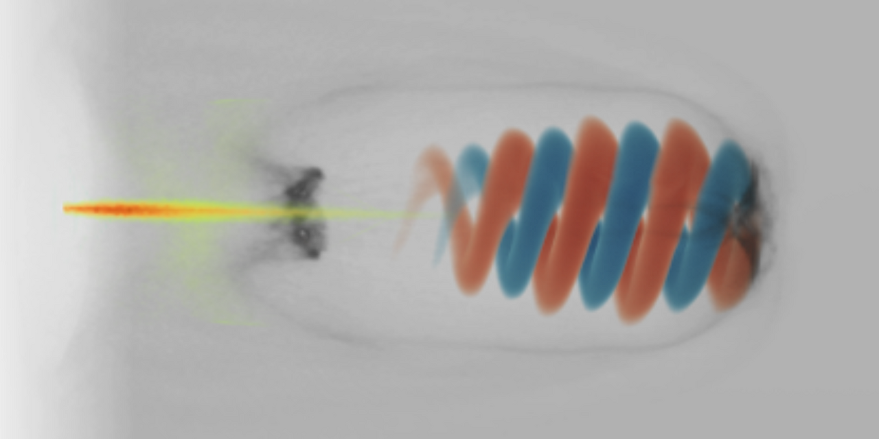 The interaction of vortex light with boron hydrides