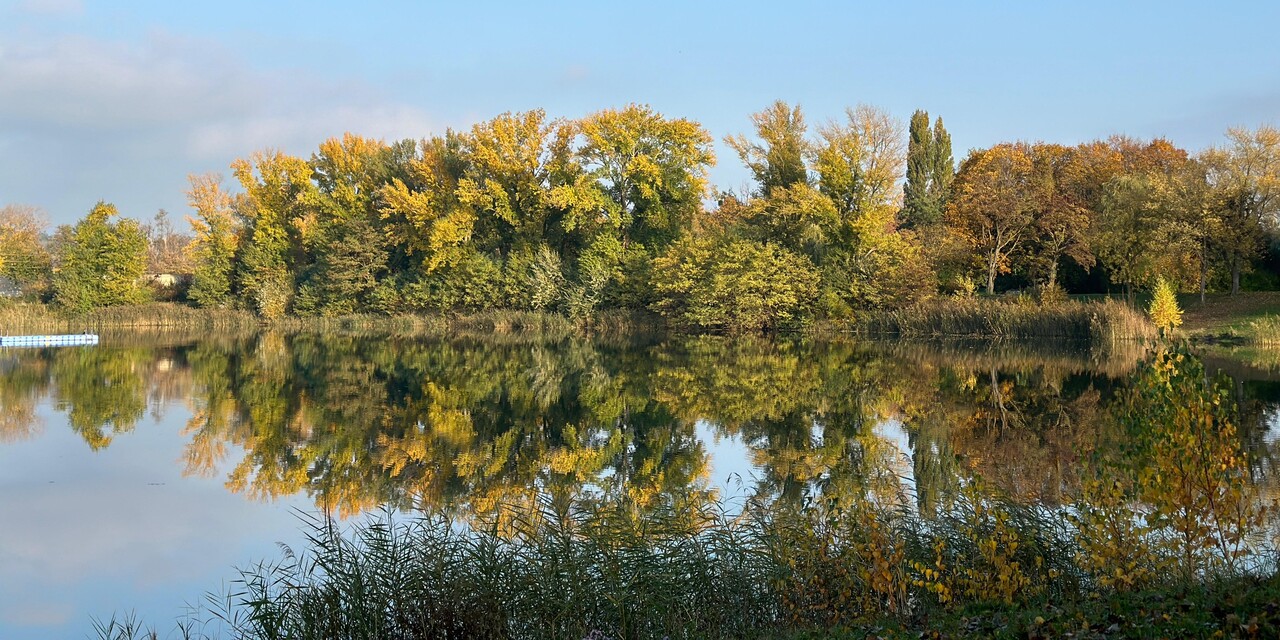 Planetary Health in the Age of Artificial Intelligence: A Structural–Ethical Inquiry into Sustainable AI in Healthcare