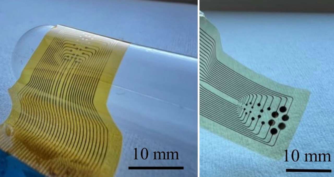 PEDOT:Polydopamine - High-performance bioelectrodes