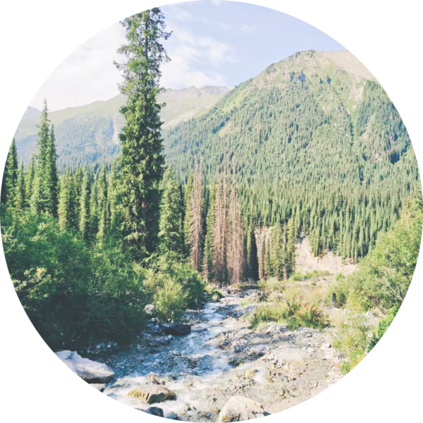 Go to the profile of Chen Chen