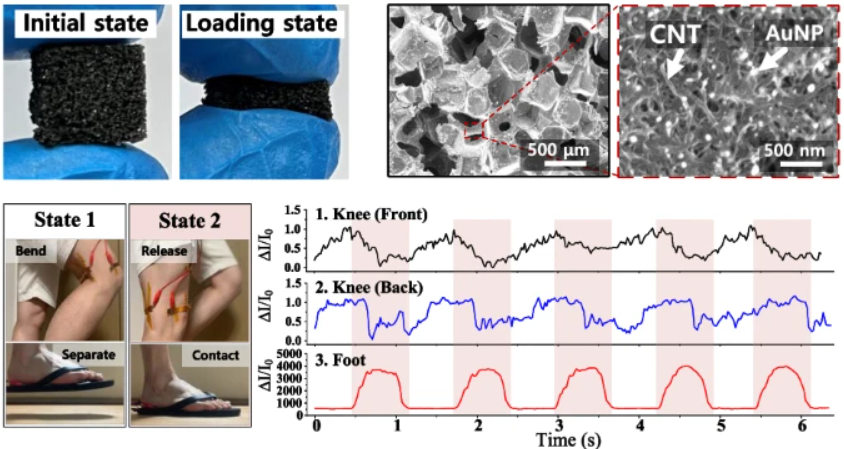 Flexible tactile sensors based on gold nanoparticles-precipitated carbon nanotubes with low contact resistance and high sensitivity