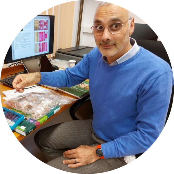 Go to the profile of Alan Crivellaro