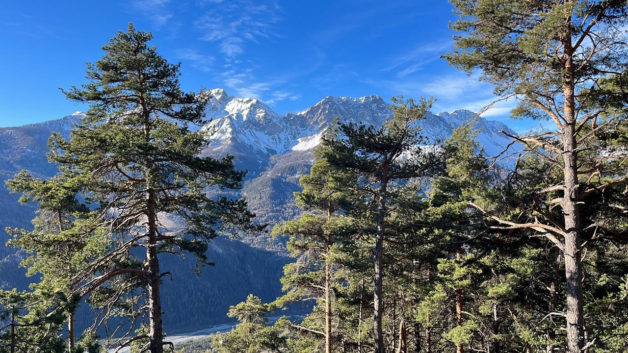 The Slow Gift of Academic Friendships