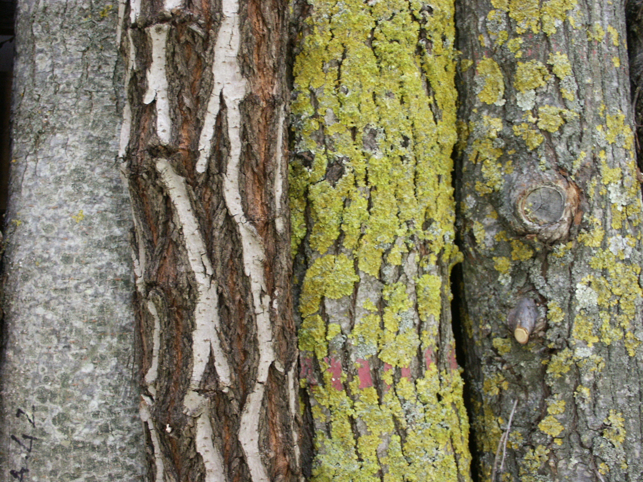 Should we stop saying “Thank you for your nice talk”?