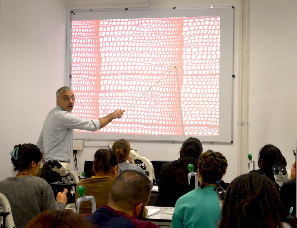 Effective Scientific Presentations: The Winning Formula