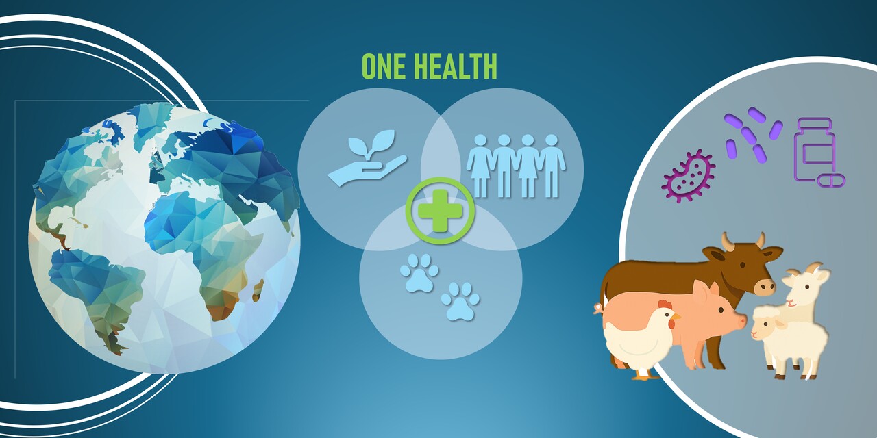 World AMR Awareness week: Guidelines for responsible antimicrobial use in food-producing animals