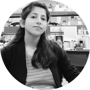 Go to the profile of Sangita Chowdhury