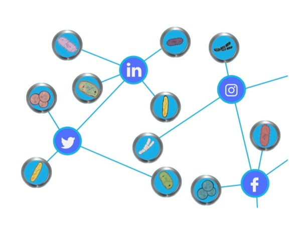 The social network of microbes - how interdependencies shape communities