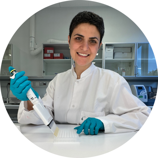 Go to the profile of Shirin Ahmadi