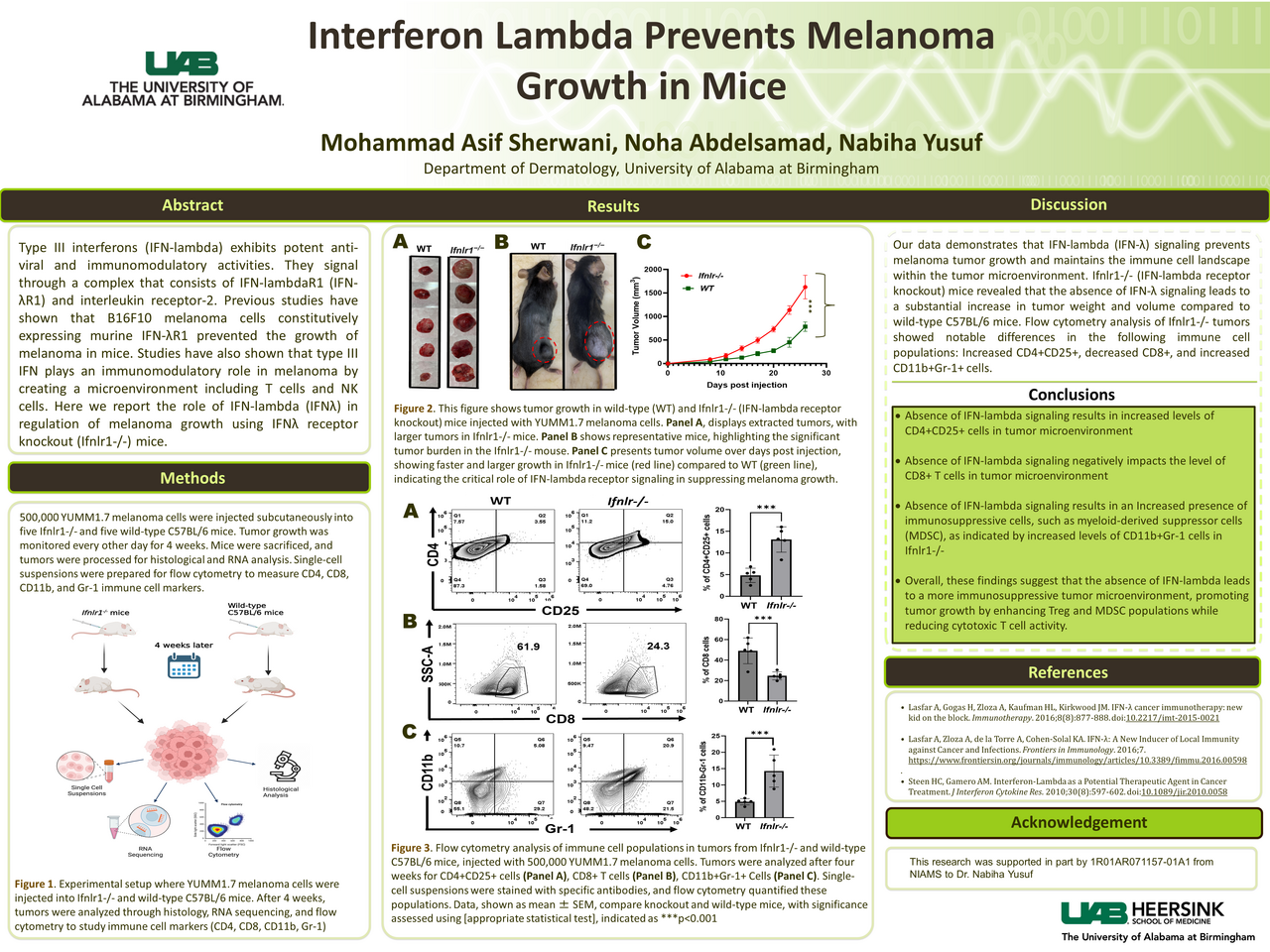 Interferon lambda prevents melanoma growth in mice