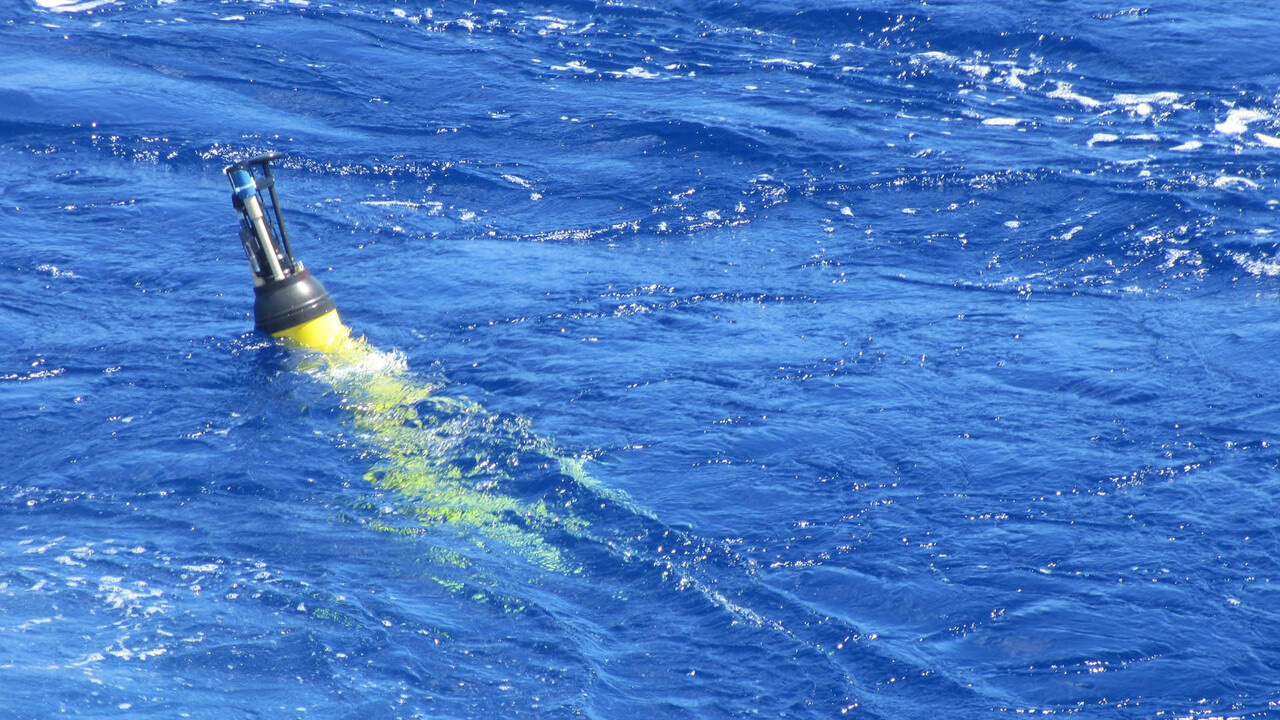 Unveiling the “Hidden Carbon Pump” in Low-Latitude Oceans