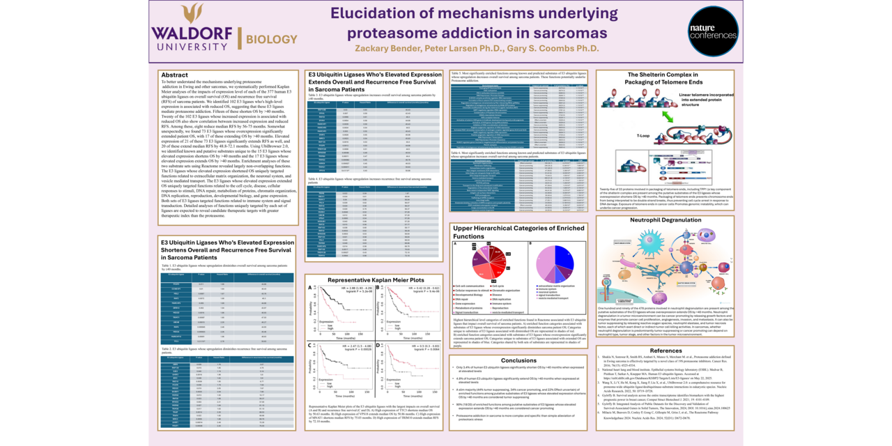Elucidation of mechanisms underlying proteasome addiction in sarcomas