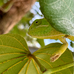 Go to the profile of Michelle Carter