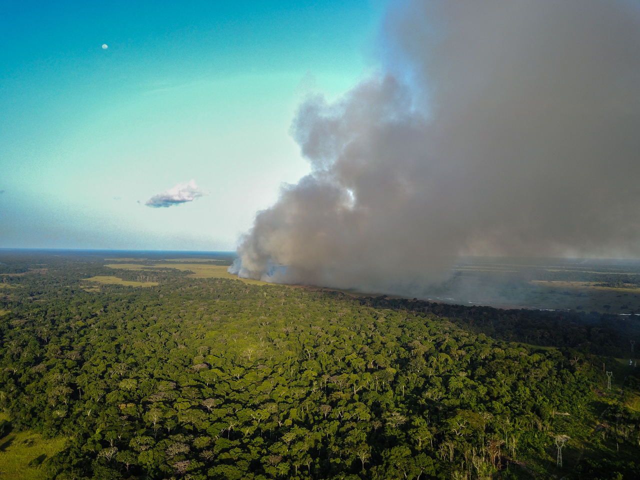 A high fire-derived nitrogen deposition in the Congo Basin