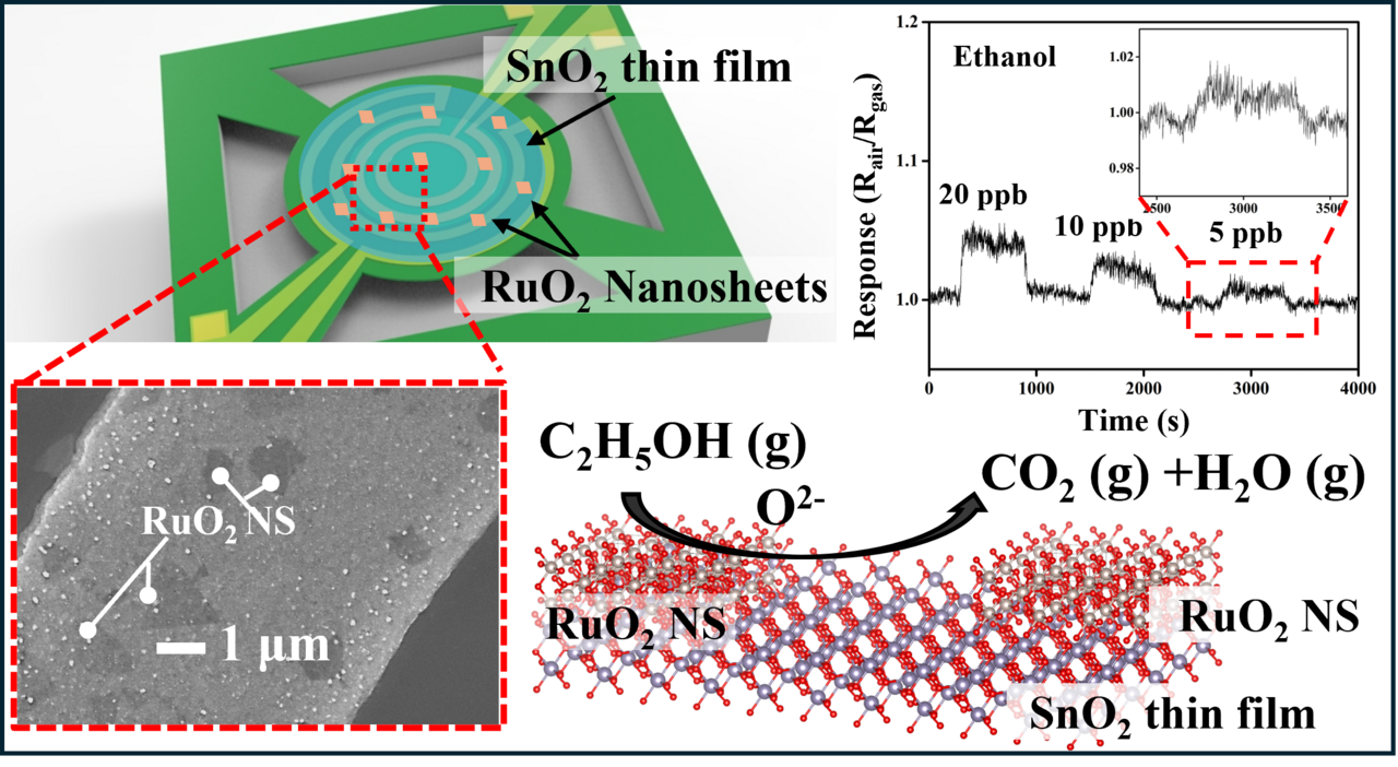 Ultra-sensitive ethanol detection using a chemiresistive SnO2 thin-film gas sensor functionalized with RuO2 nanosheets
