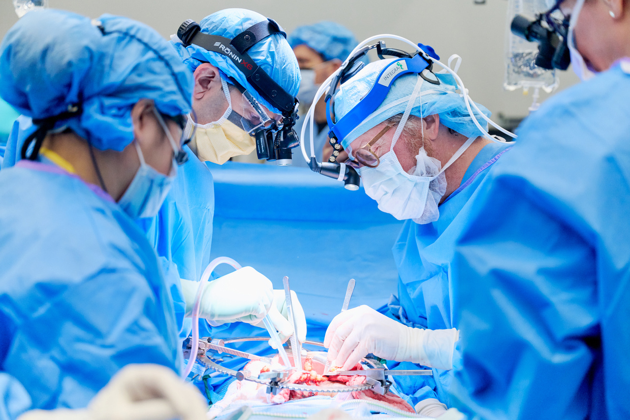 The First Successful Treatment of Xenograft Rejection in a Human Decedent