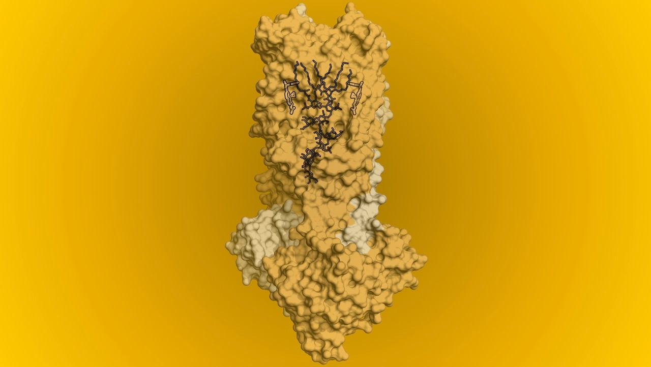 Tripping up transport across bacterial membranes