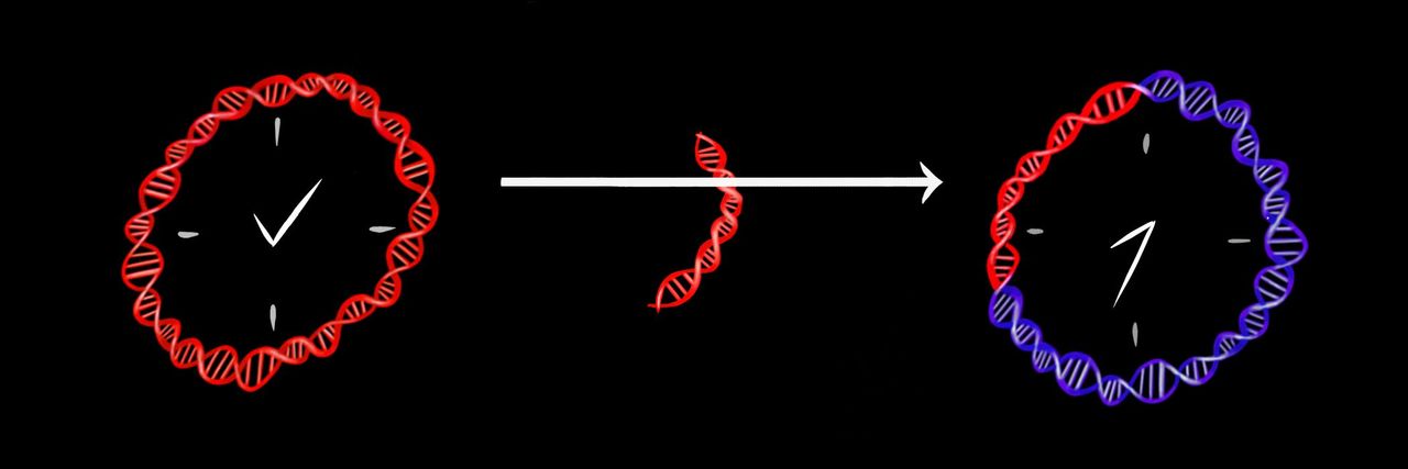 Towards a new way of dating