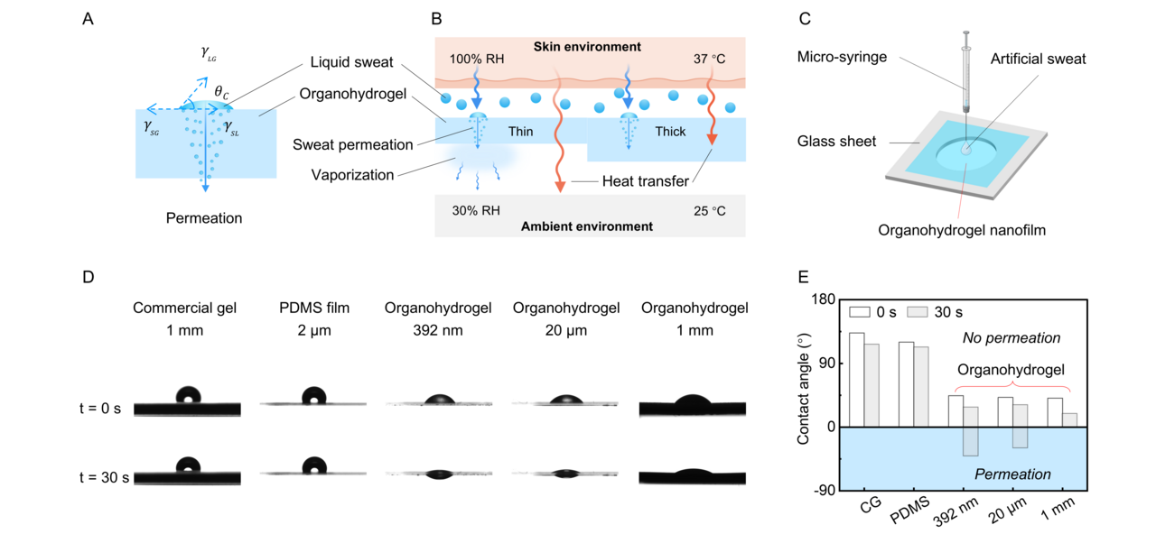 Rethinking Soft Electronics Through Skin- and Environment-Adaptable Materials