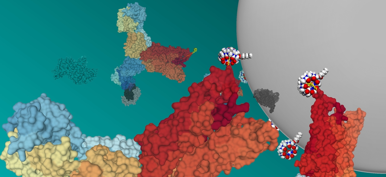 A Supramolecular Strategy to Purify Protein Therapeutics