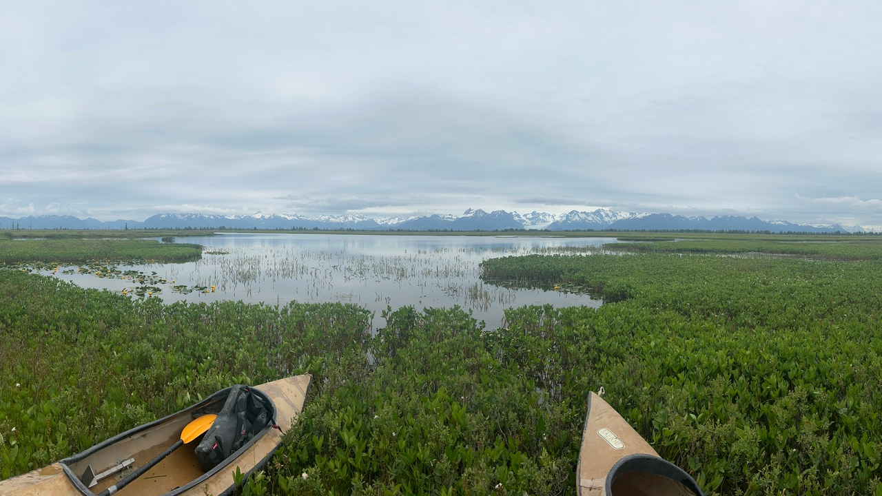 From Pandemic Pivots to Pond Predictions:  Forecasting the Future of Alaska’s Coastal Wetlands