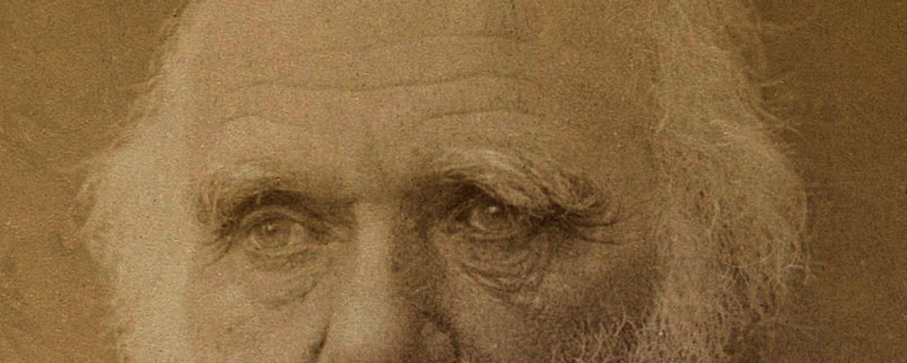 The anatomy of tolerance